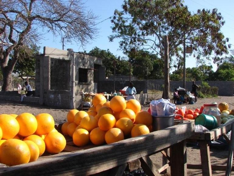 Bairro Costa de Sol: laranjas