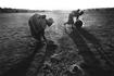 Ernst Schade : Guiné Bissau. Women scraping silt in river bed : 2005